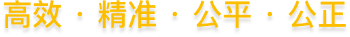 高效 · 精准 · 公平 · 公正